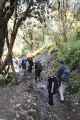 09-059 Ghorepani-Tadapani