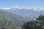 17-014 Pothana-Phedi