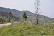 255 Griekenland mrt 2010