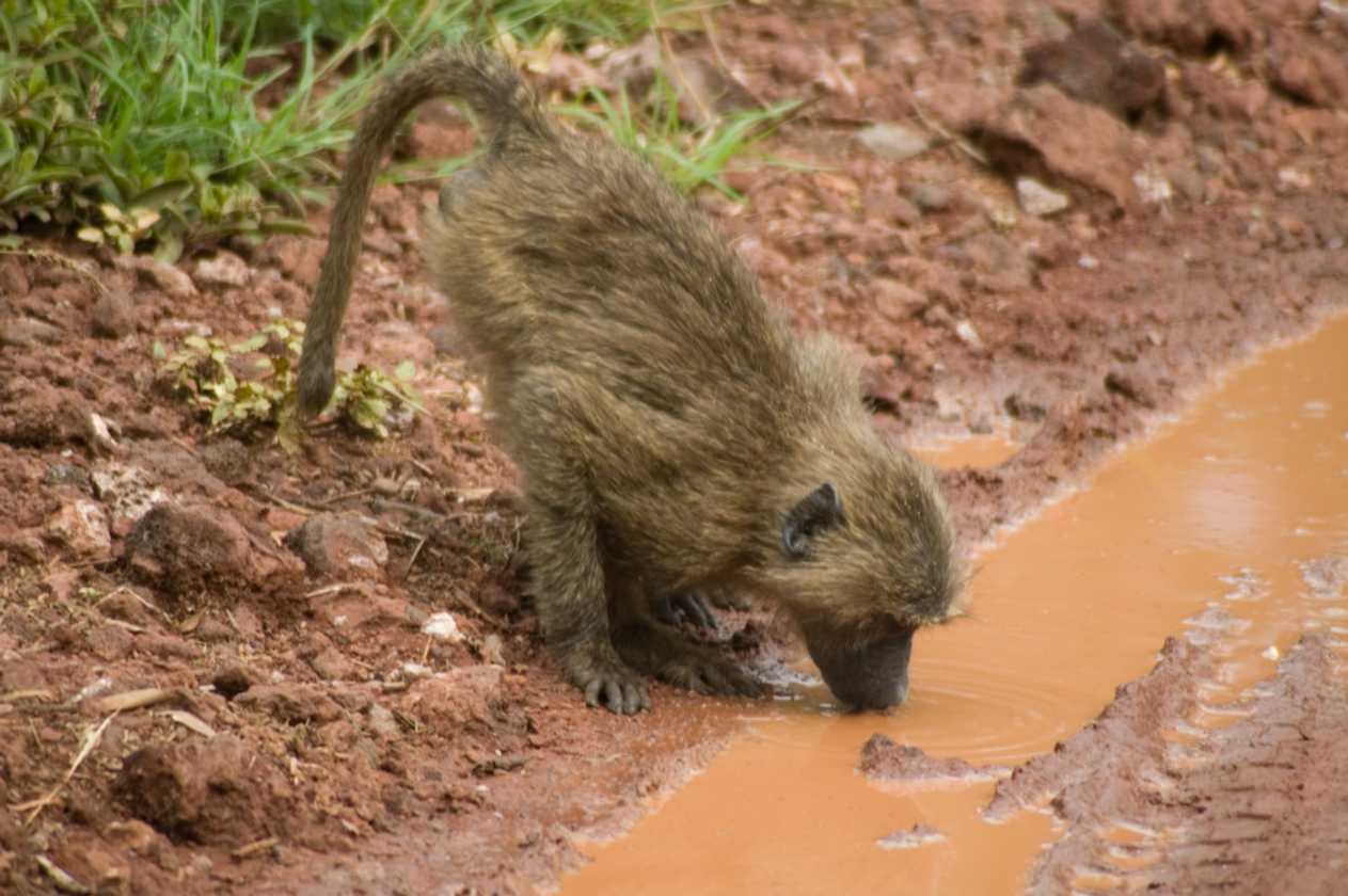 02-tanzania-022