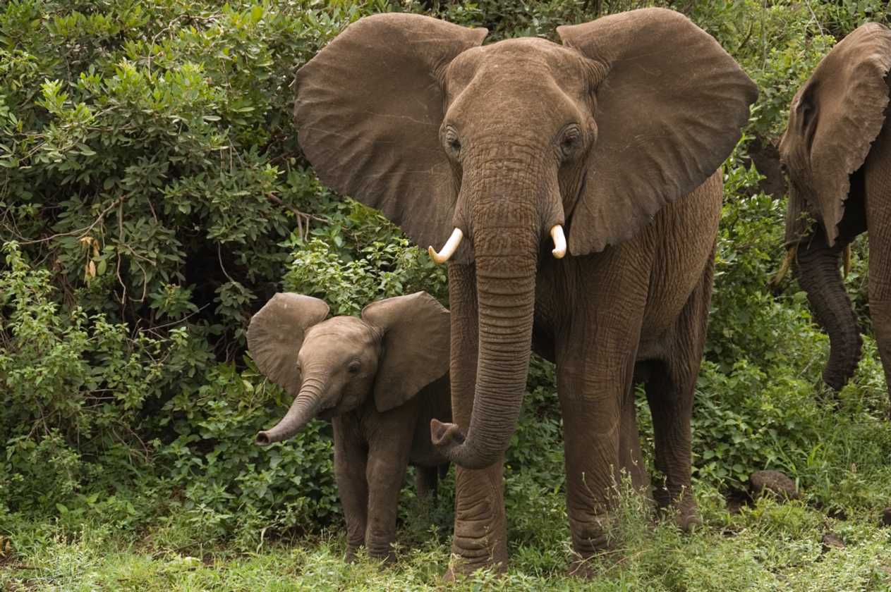 02-tanzania-037