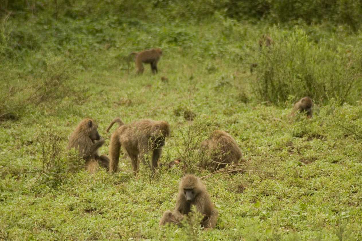 02-tanzania-045