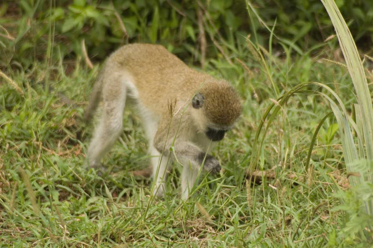 02-tanzania-048