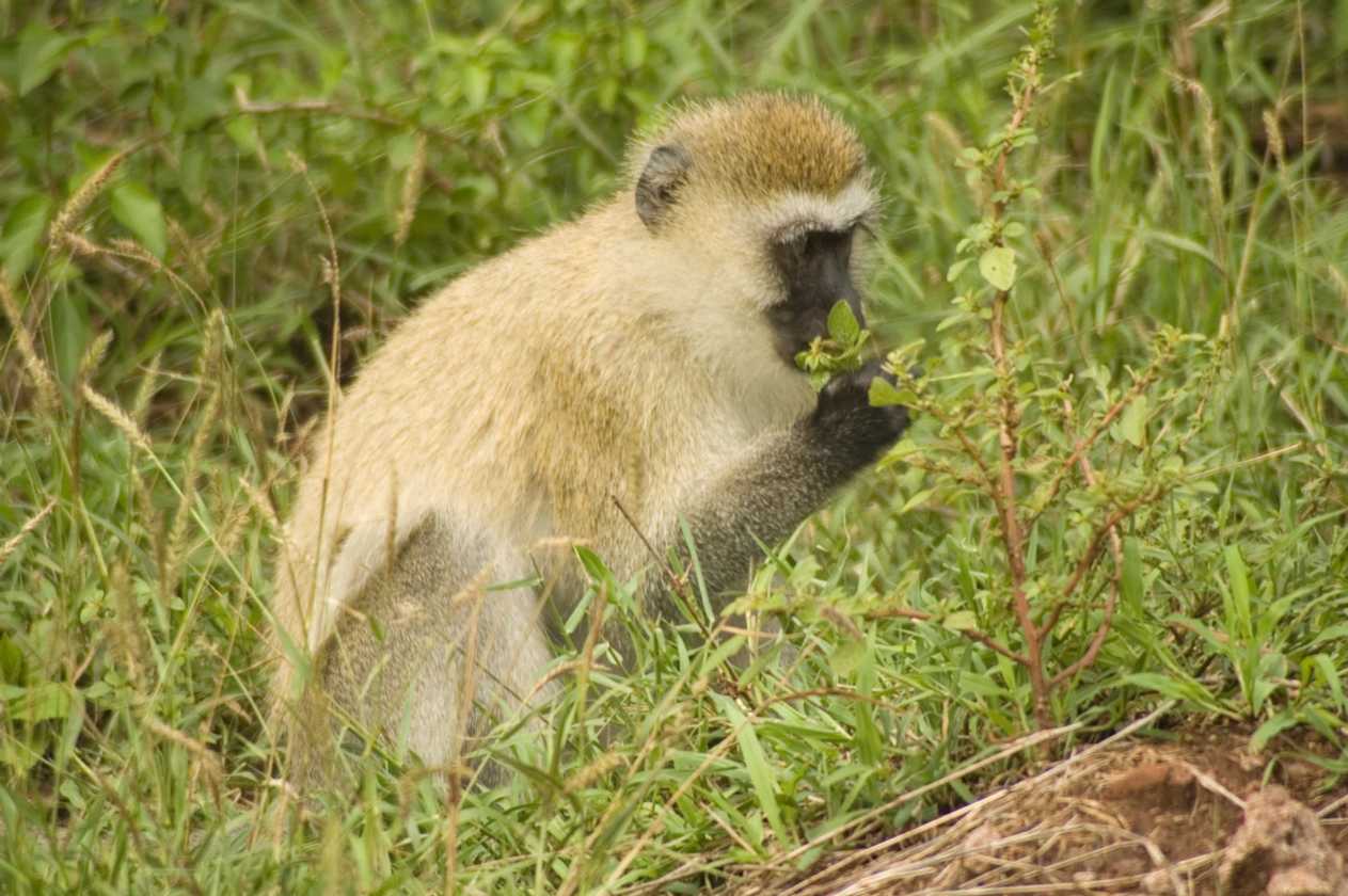 02-tanzania-050