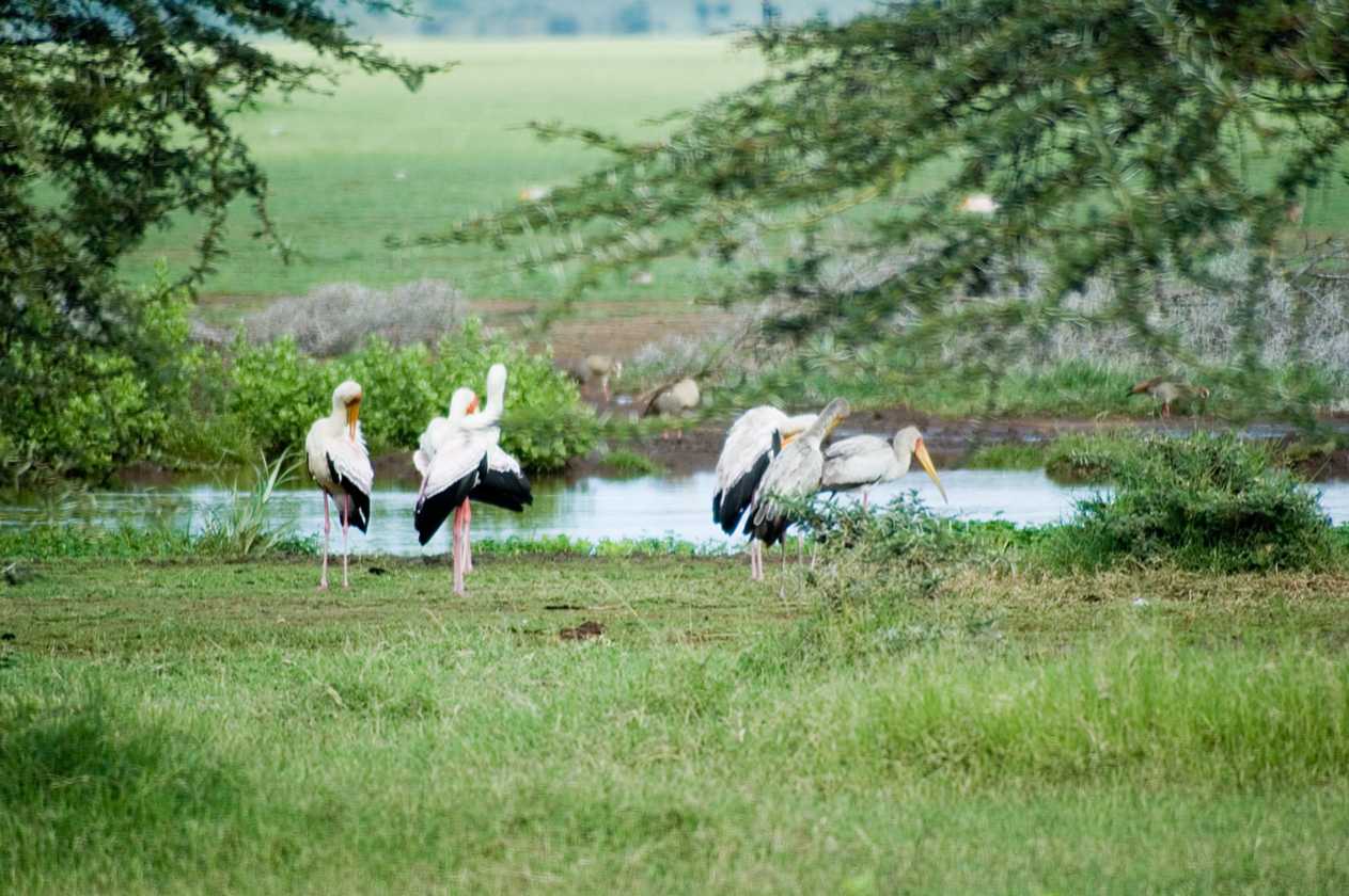 02-tanzania-092