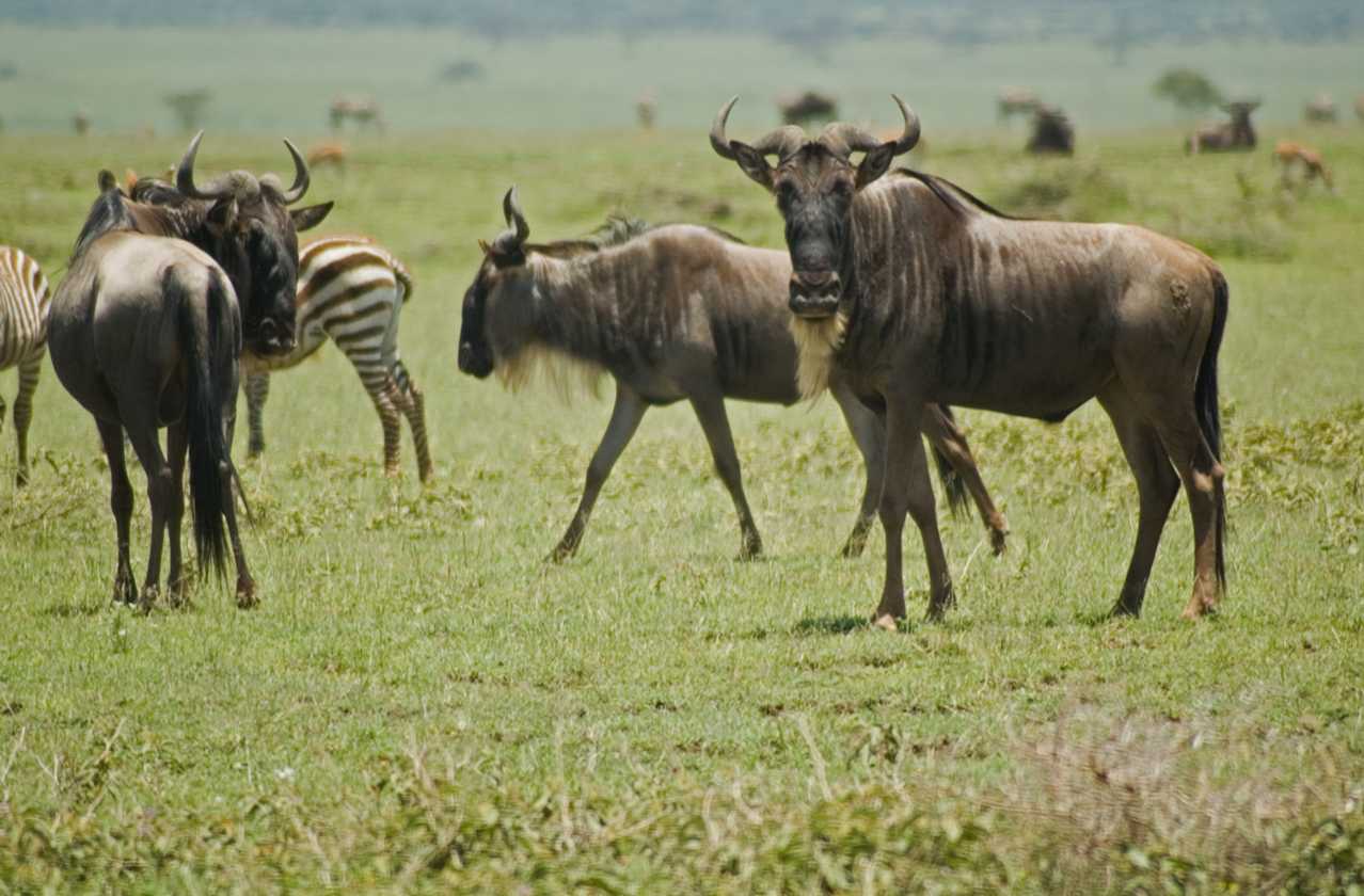 03-tanzania-22