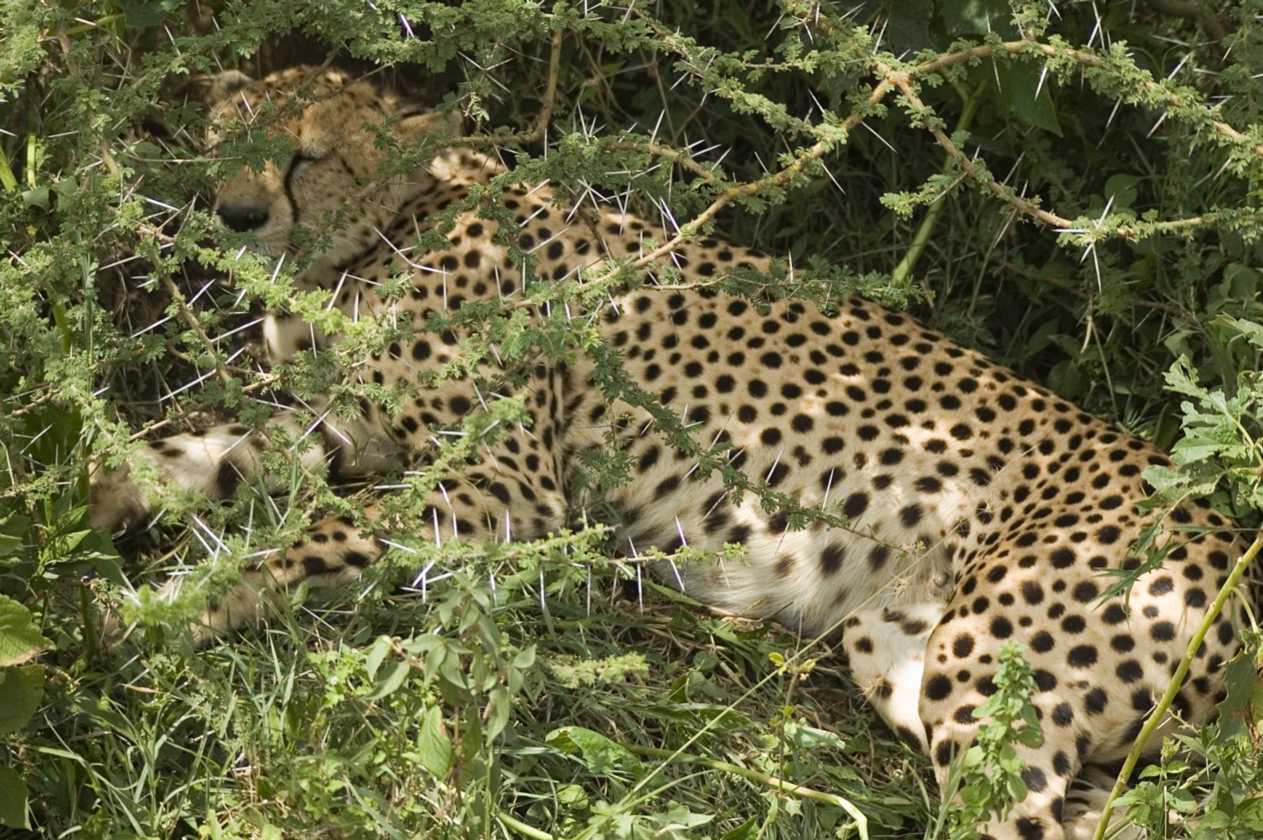 03-tanzania-54