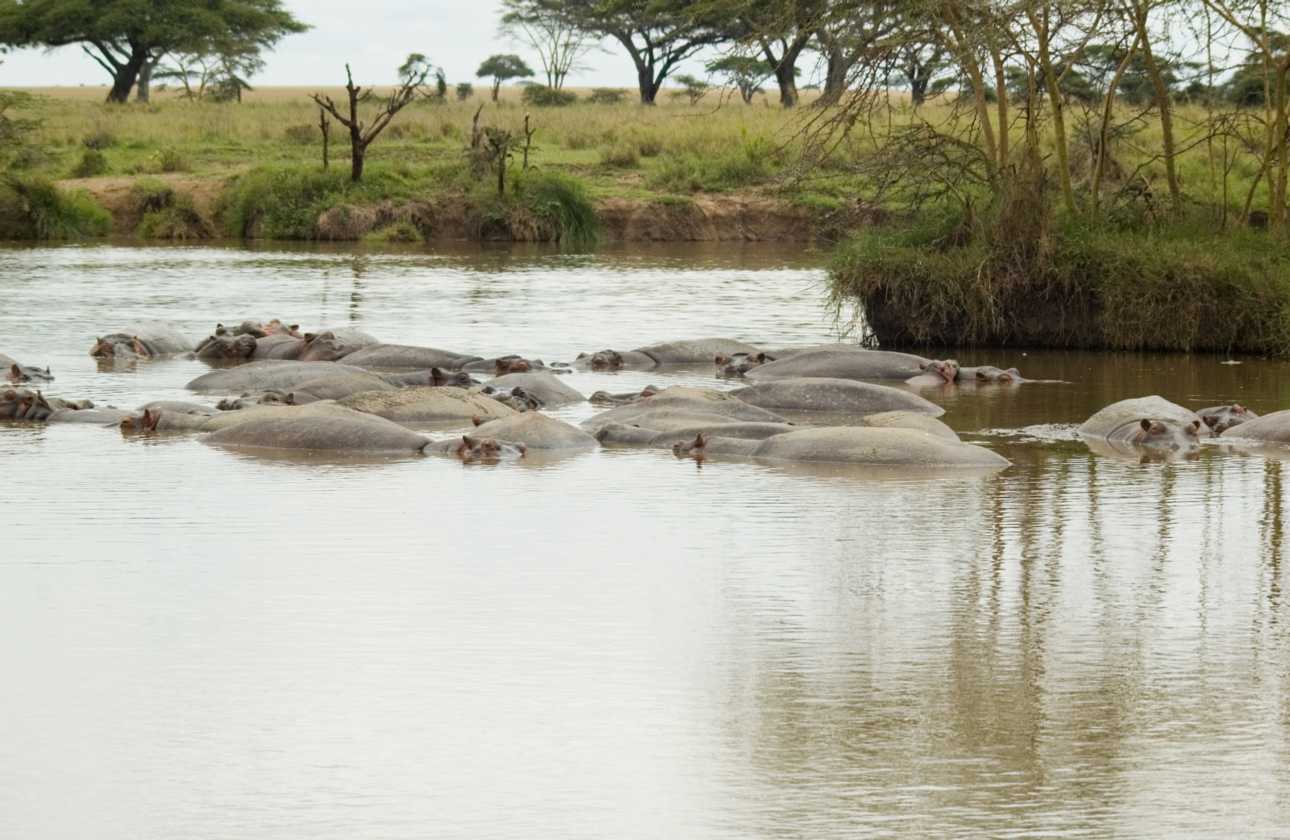 04-tanzania-47