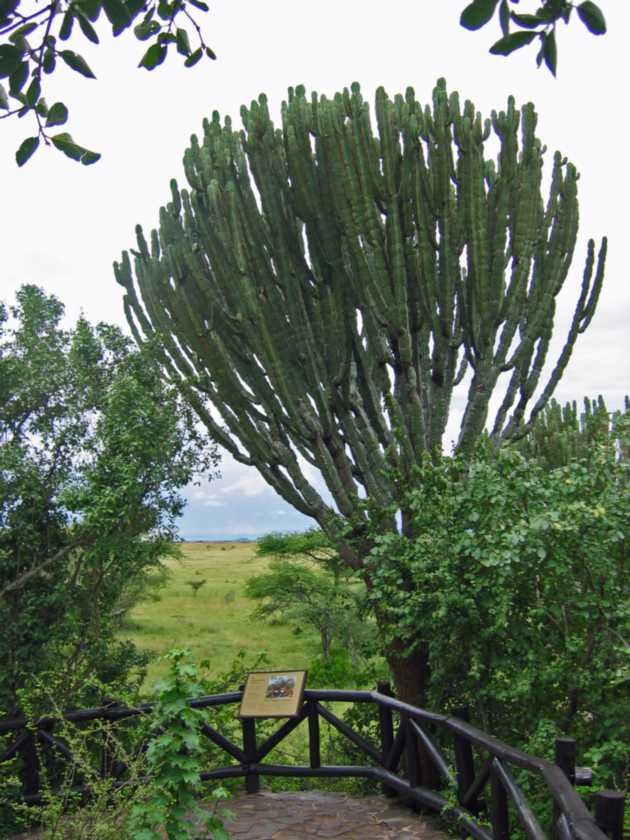 05-tanzania-50
