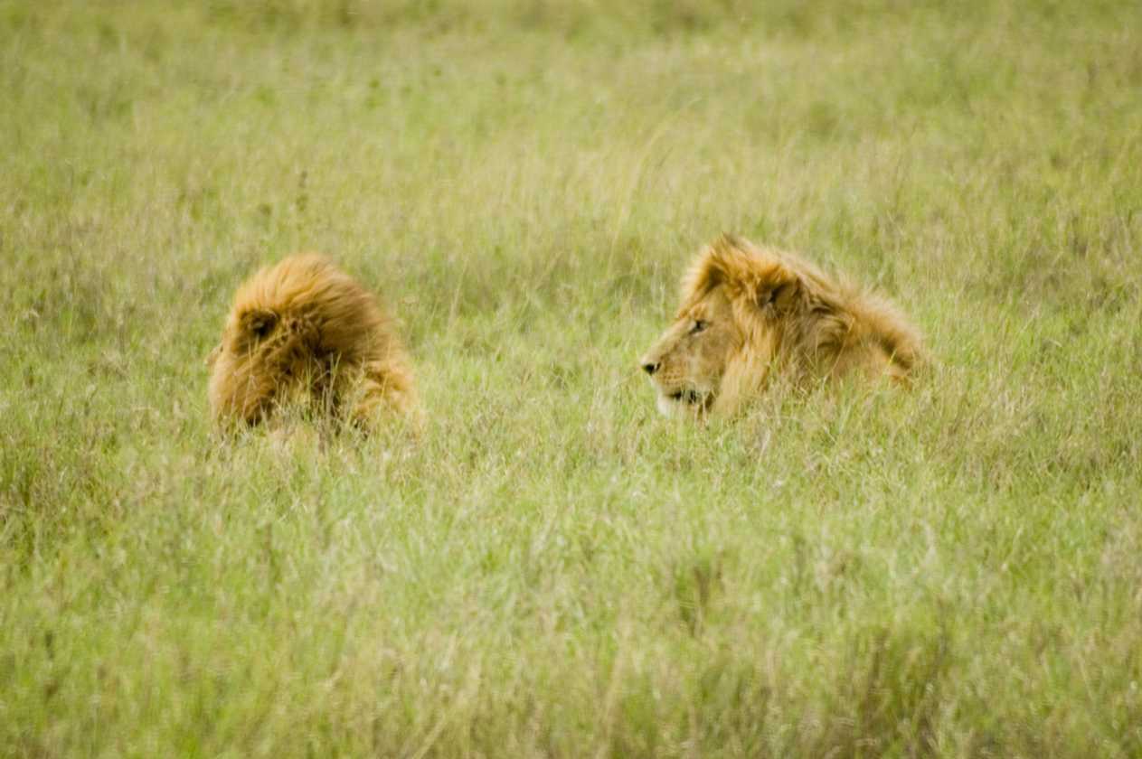 05-tanzania-73