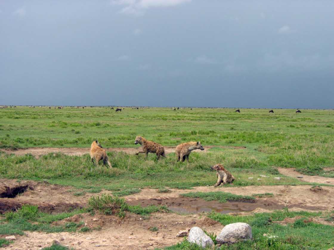 05-tanzania-79