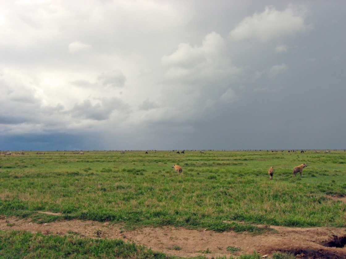 05-tanzania-80