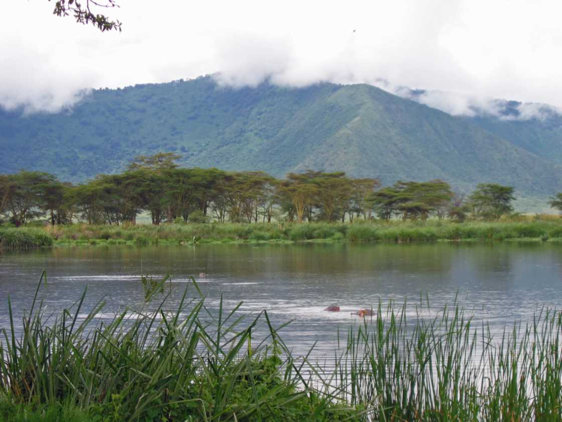 06-tanzania-29