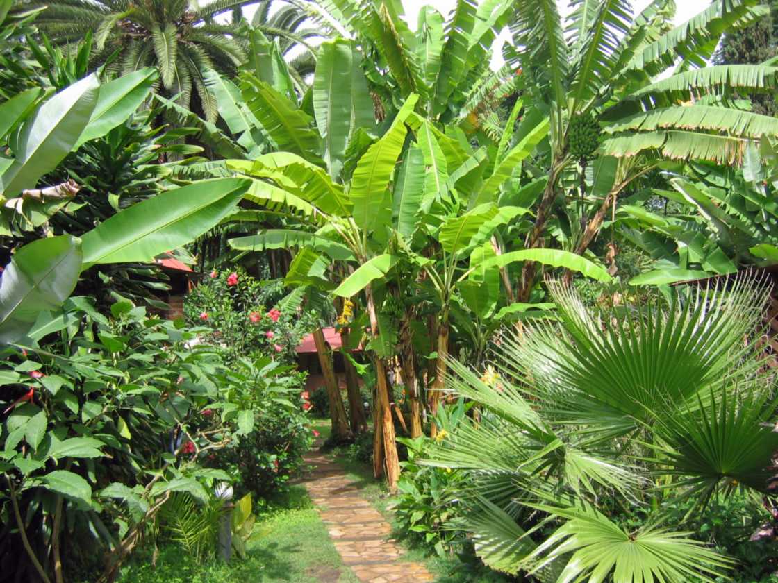 07-tanzania-07