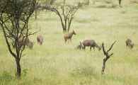 04-tanzania-61