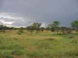 04-tanzania-63