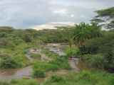 04-tanzania-64