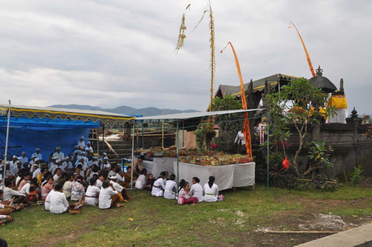 10 indo2010-32