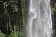 07 indo2010-083