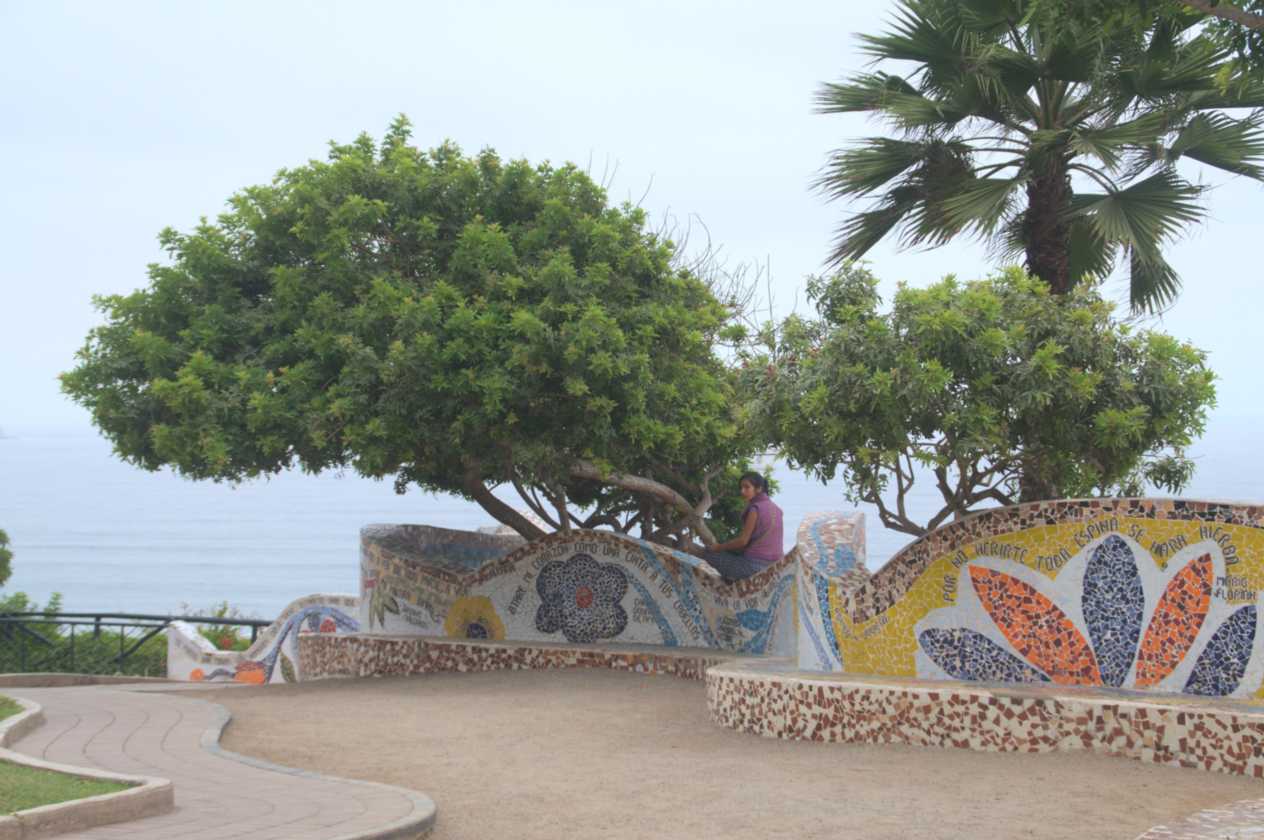 006 110504 Lima