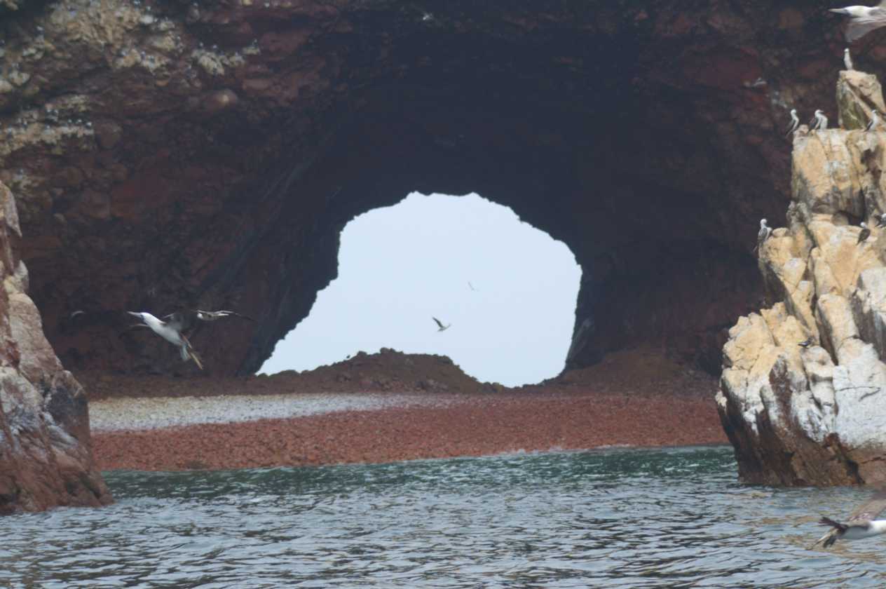 076 110505 Ballestas-Ica