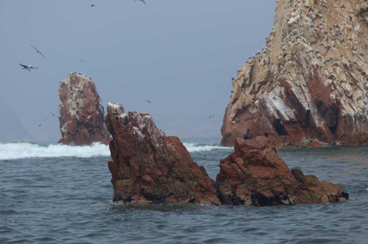 096 110505 Ballestas-Ica