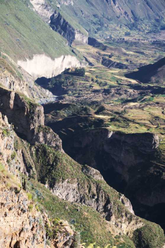 041 110511 Colca Canyon