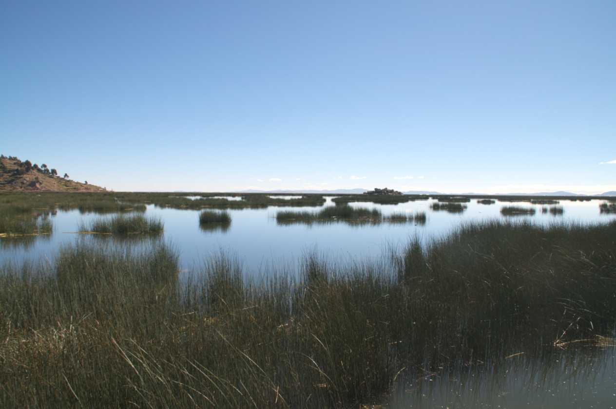 023 110513 Puno