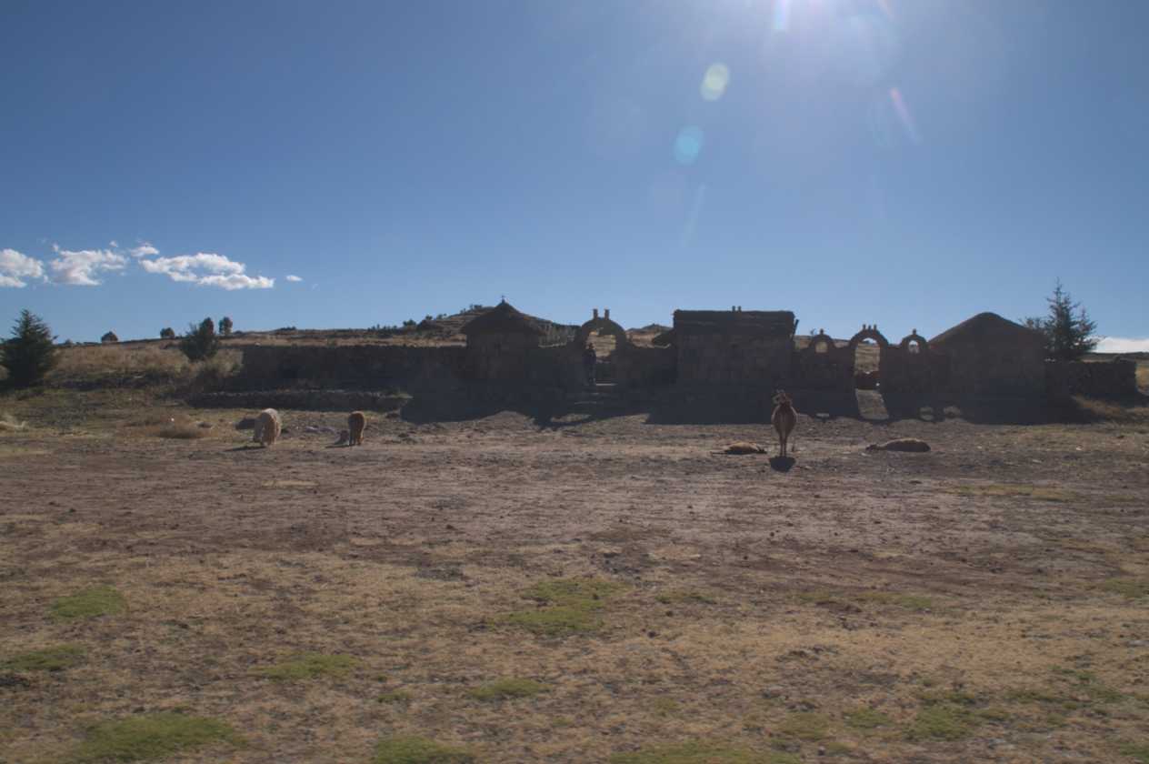 082 110513 Puno
