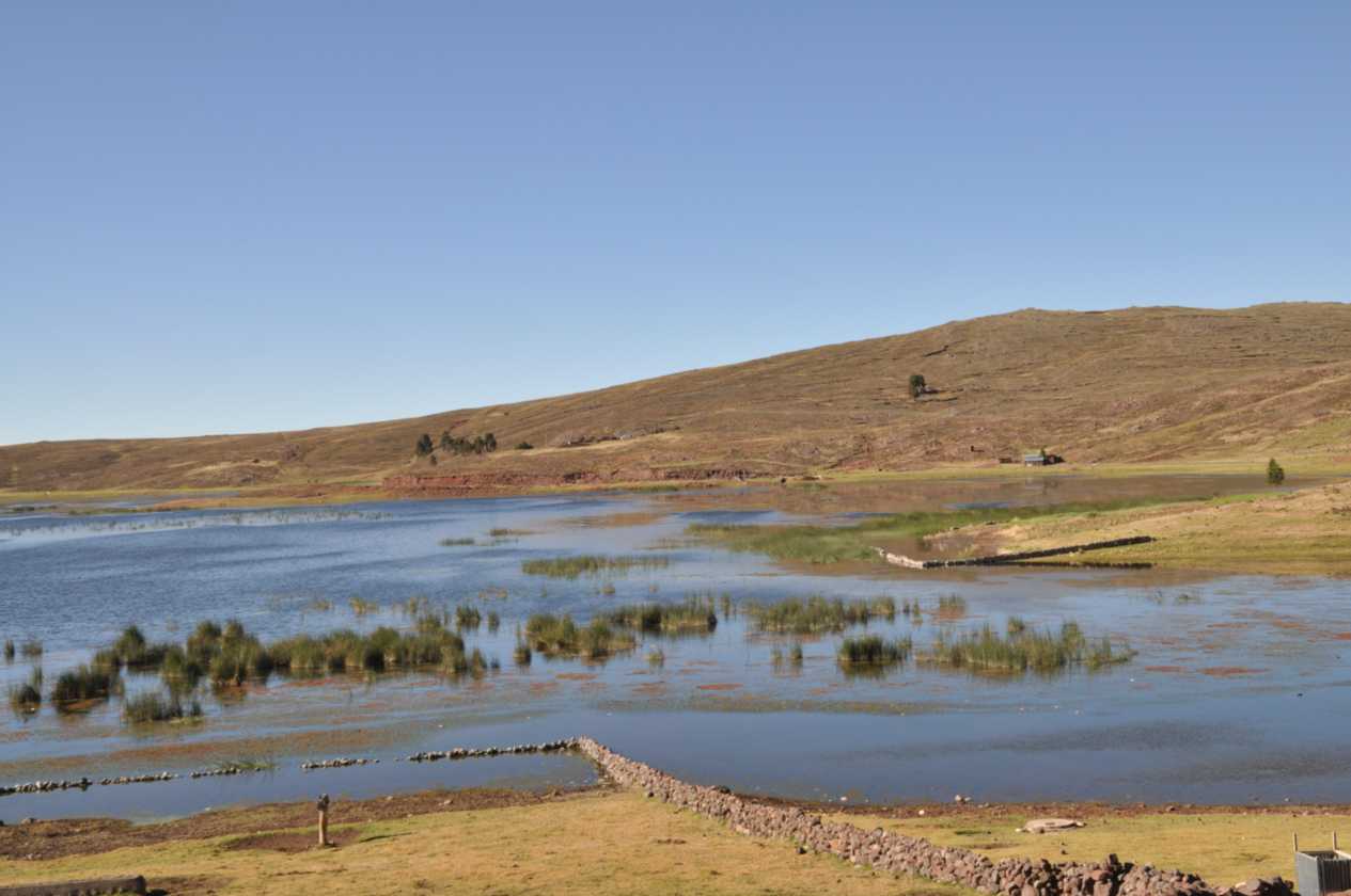 085 110513 Puno