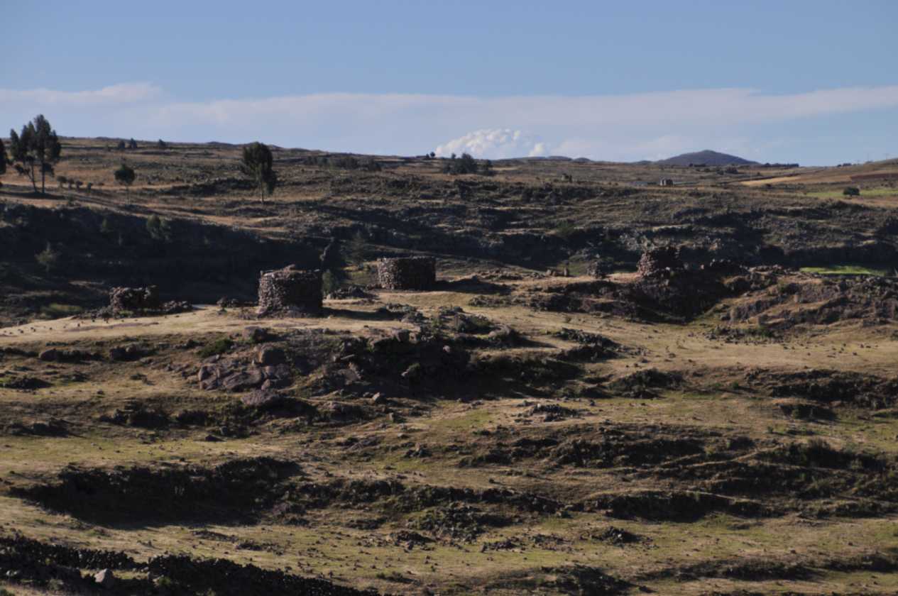 089 110513 Puno