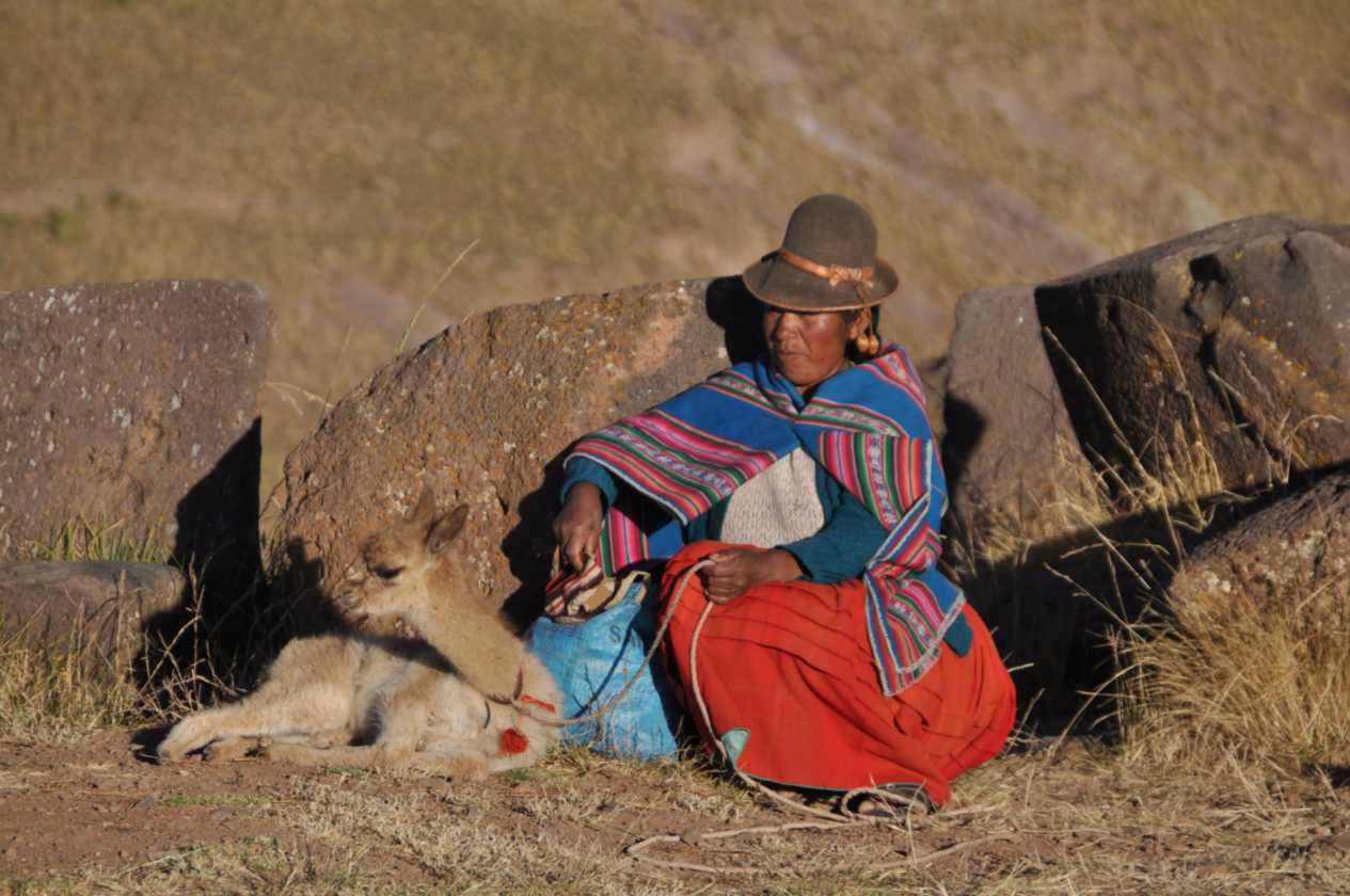 105 110513 Puno