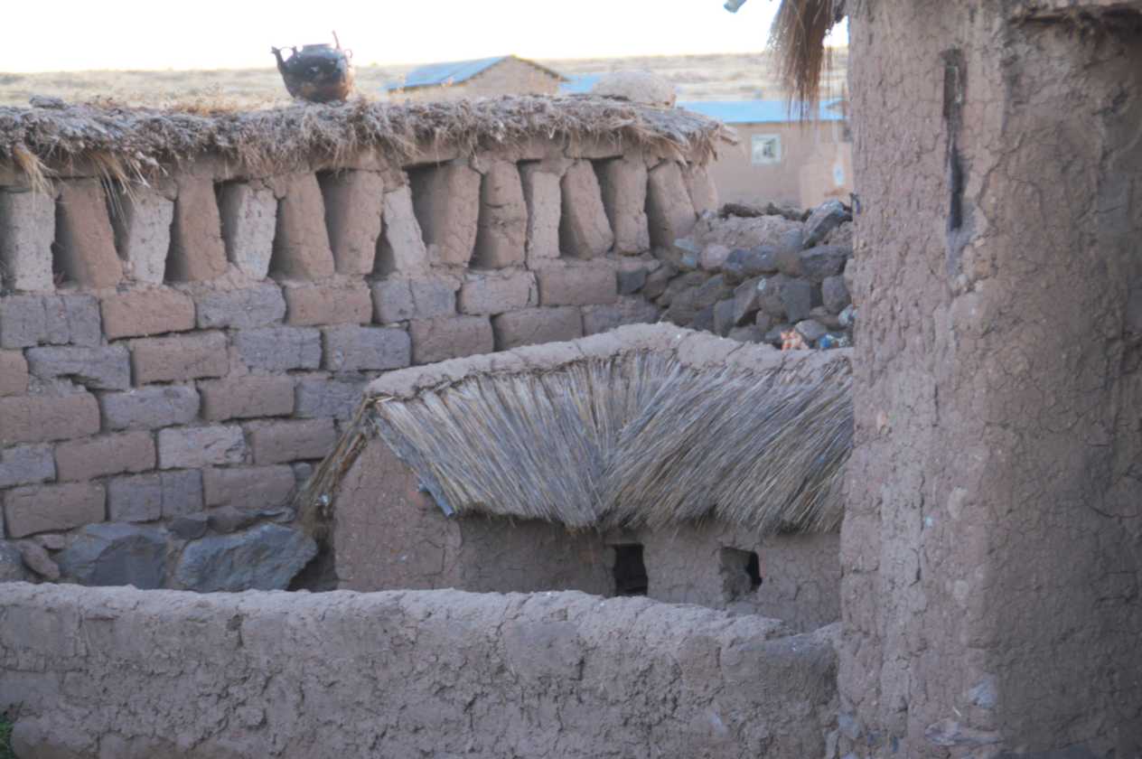 116 110513 Puno