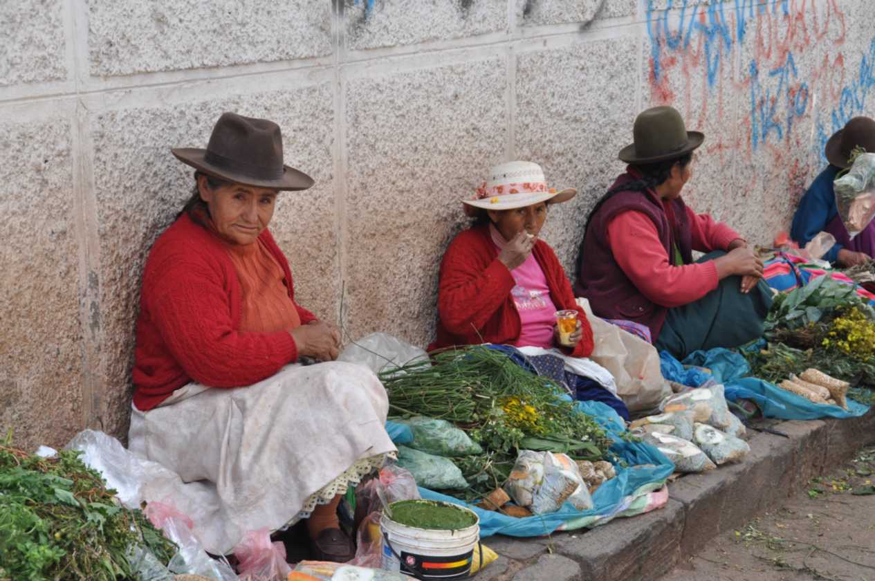 037 110515 Cuzco