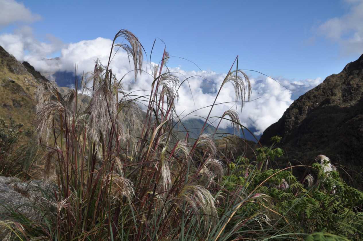 030 110519 Inca Trail 3