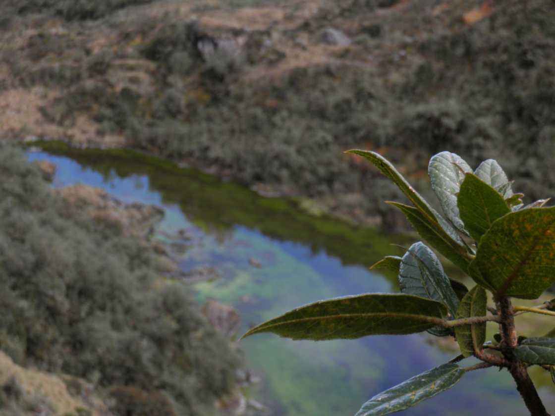 031 110519 Inca Trail 3