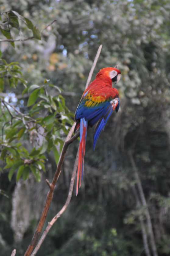 032 110521 Puerto Maldonado
