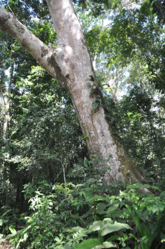 036 110522 Puerto Maldonado