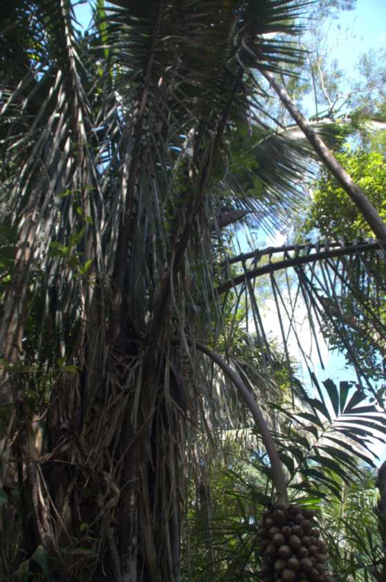 062 110522 Puerto Maldonado