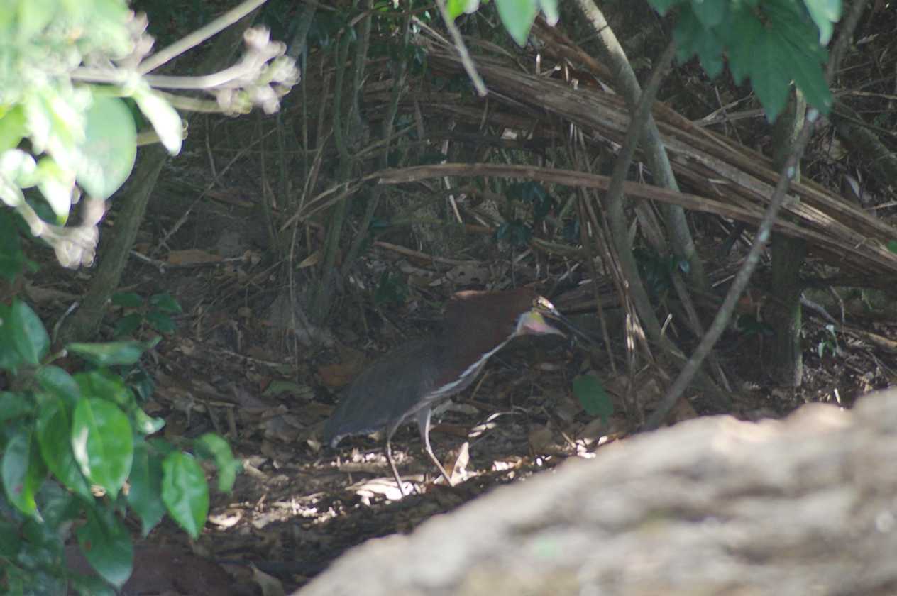 084 110522 Puerto Maldonado