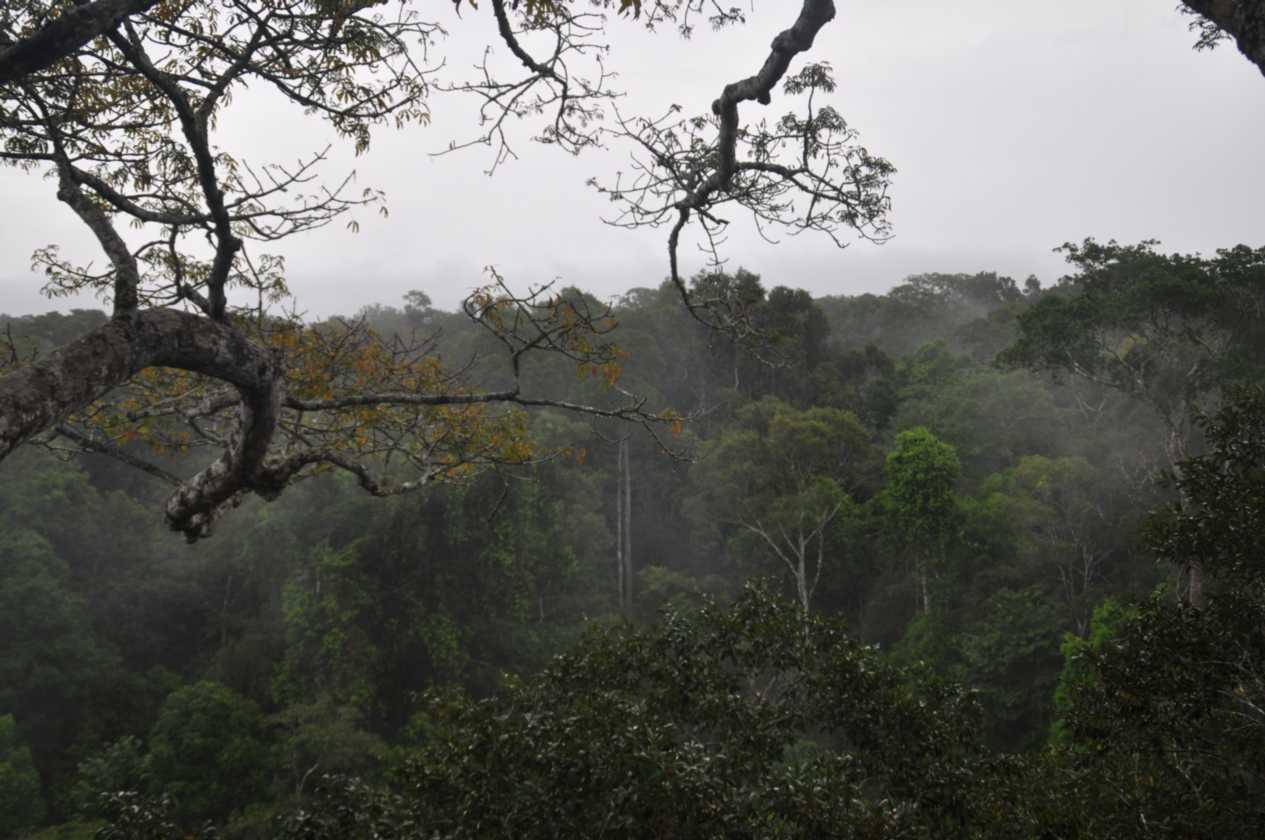 023 110523 Puerto Maldonado