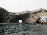 079 110505 Ballestas-Ica