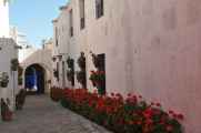 074 110508 Arequipa