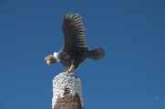 112 110511 Colca Canyon