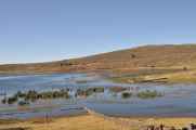 085 110513 Puno
