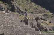 004 110517 Inca Trail 1