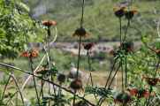 024 110517 Inca Trail 1