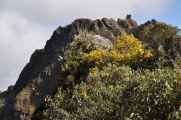 024 110519 Inca Trail 3