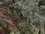 033 110519 Inca Trail 3