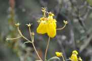 034 110519 Inca Trail 3